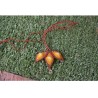 Macramé Necklace with Natural Stone - Handmade & Adjustable